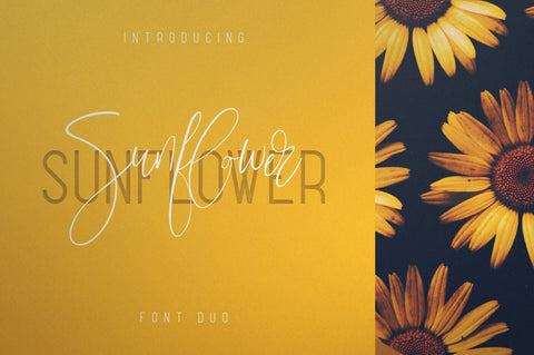 Sunflower - Font Duo Font VPcreativeshop 