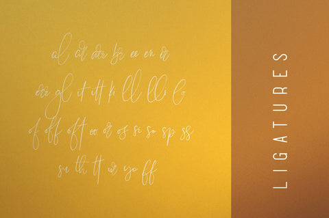 Sunflower - Font Duo Font VPcreativeshop 