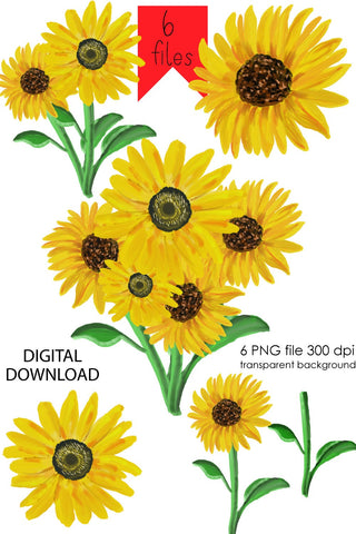 Sunflower PNG transparent background Sublimation Natasha Prando 