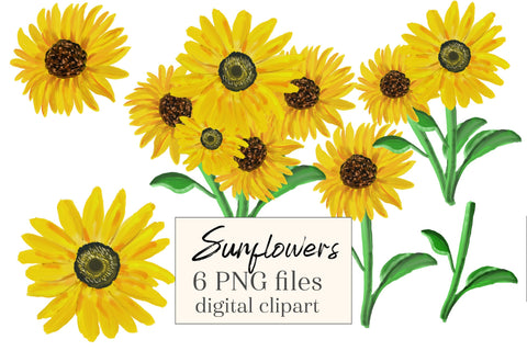 Sunflower PNG transparent background Sublimation Natasha Prando 