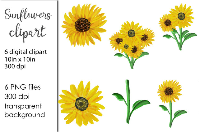 Sunflower PNG transparent background Sublimation Natasha Prando 