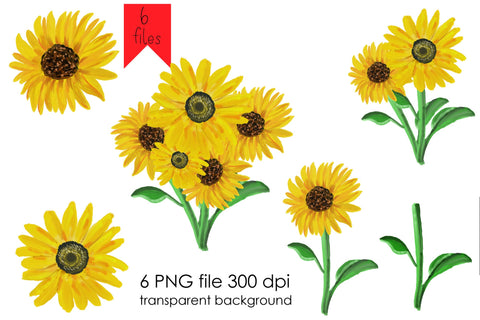 Sunflower PNG transparent background Sublimation Natasha Prando 