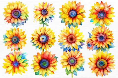 Sunflower Rainbow Watercolor Clipart Sublimation Regulrcrative 