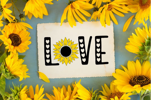 Sunflower SVG Bundle SVG Designangry 
