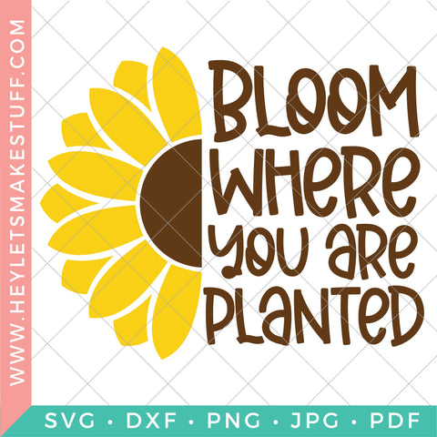 Sunflower SVG Bundle SVG Hey Let's Make Stuff 