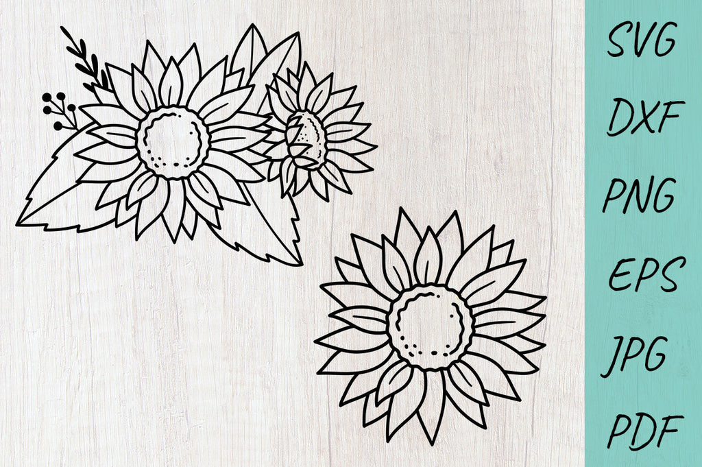 Sunflower SVG, Floral SVG Designs, Line Art Sunflower - So Fontsy