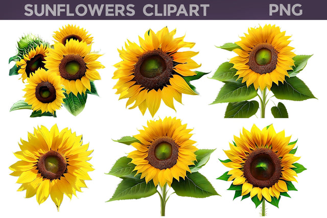 Sunflowers Clipart PNG | Sunflowers Sublimation Designs Sublimation WatercolorColorDream 