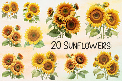 Sunflowers Sublimation Rupkotha 