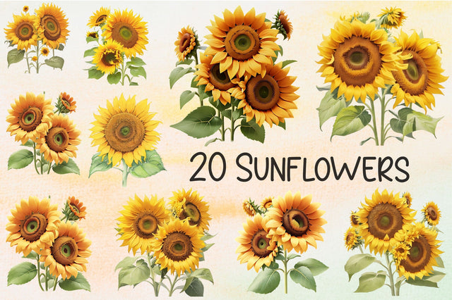 Sunflowers Sublimation Rupkotha 