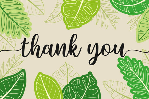 Sunkiss Font Madatype Studio 