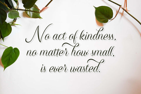 Sunlight Font love script 