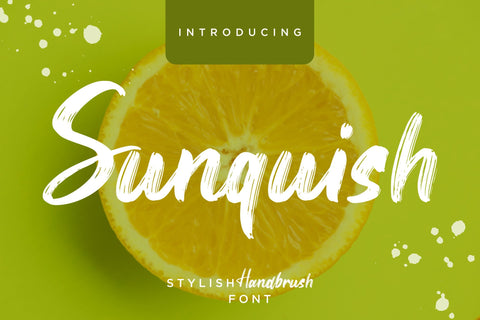 Sunquish Stylish Handbrush Font Creatype Studio 