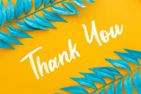 Sunquish Stylish Handbrush Font Creatype Studio 