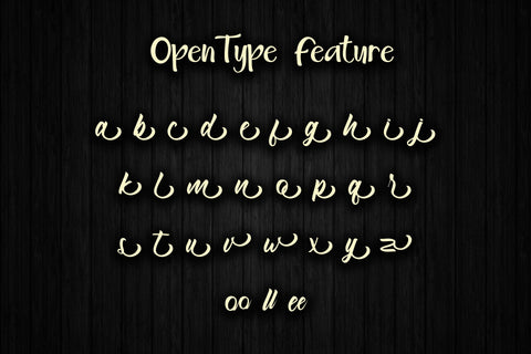 Sunrise Modern Script Font Font Skiiller_Std 