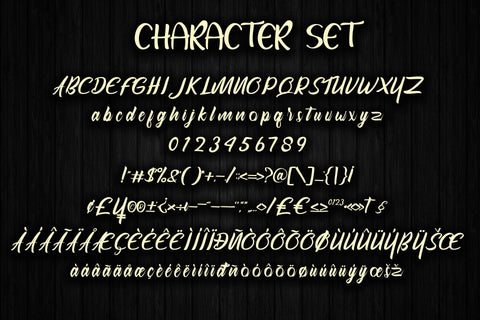 Sunrise Modern Script Font Font Skiiller_Std 