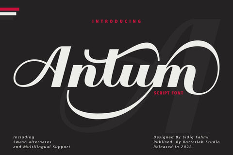 Super Bundle Collection | 140 Fonts Font Rotterlab studio 