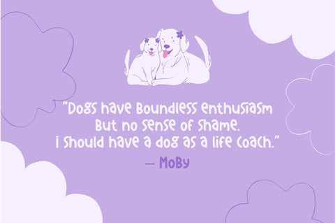 Super dog a Playful font Font Masyafi Studio 