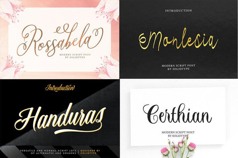 Super Special Font Bundle Font Solidtype 