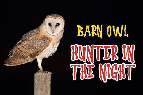 Super Wadon - Haunted Display Font Font StringLabs 