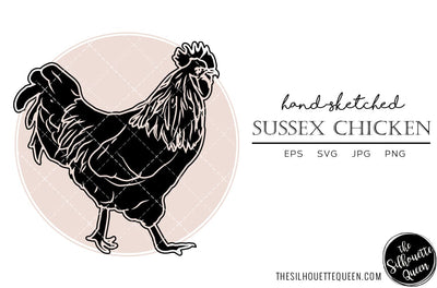 Sussex Chicken Sketch Vector SVG Loveleen Kaur 