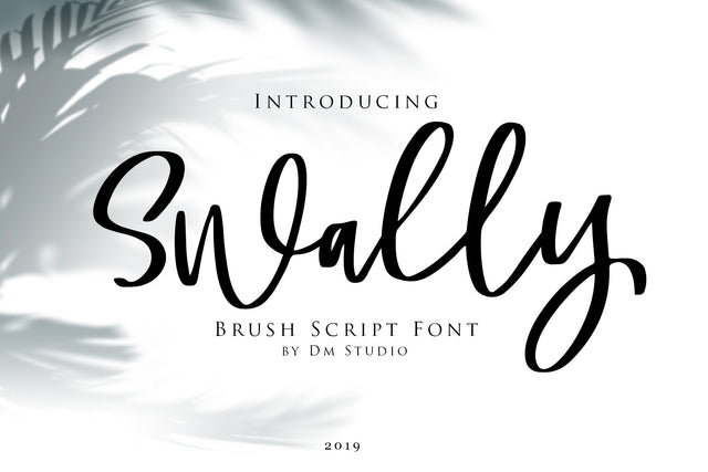 Swally - Brush Script Font Font Dm Letter Studio 