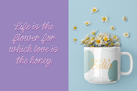 Sweet Bella Script Font FontDuo 