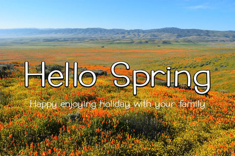 Sweet Corn Font Supersemar Letter 