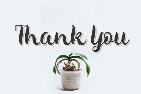 Sweet Dream Font love script 