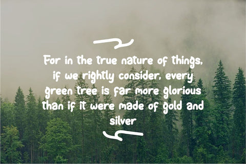 Sweet Fairy Font twinletter 