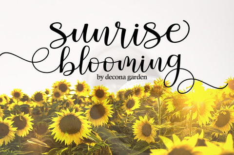 Sweet Mones Font gatype 