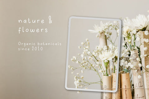 Sweet roll Font Cotton White Studio 