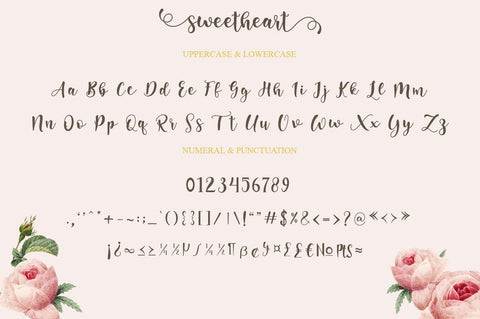 Sweetheart Script Font Anastasia 