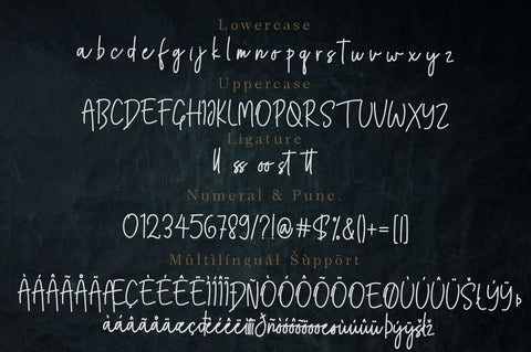 Swesty Monoline Script Font Balevgraph Studio 