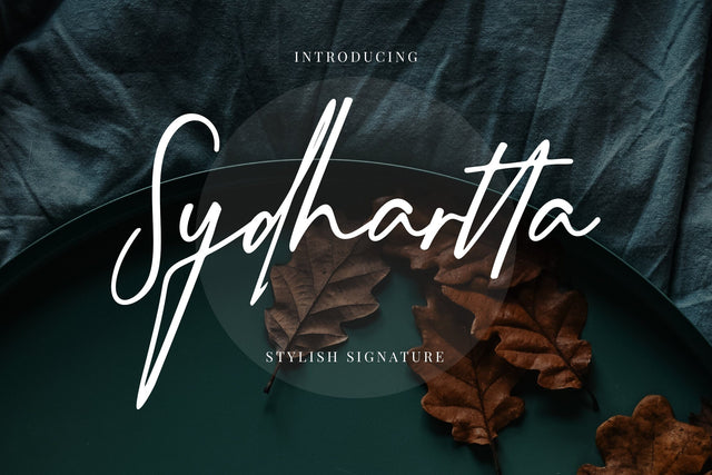 Sydhartta Stylish Signature Font Creatype Studio 