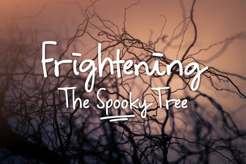 Sydney Tears - Stylish Signature Font Font Allouse.Studio 