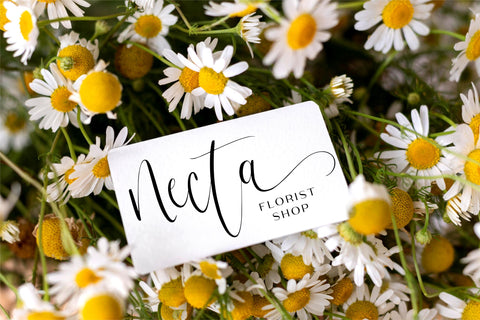 Synthilea Font Qwrtype Foundry 