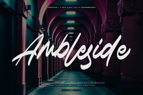 Tadcaster - Bold Script Font Font Alpaprana Studio 