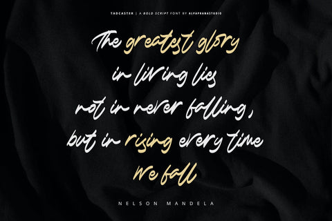 Tadcaster - Bold Script Font Font Alpaprana Studio 