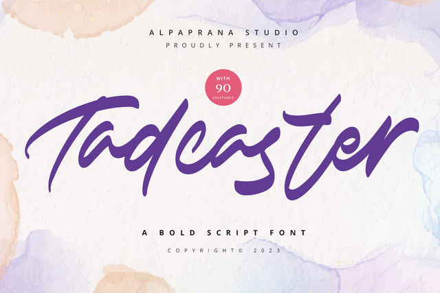 Tadcaster - Bold Script Font Font Alpaprana Studio 