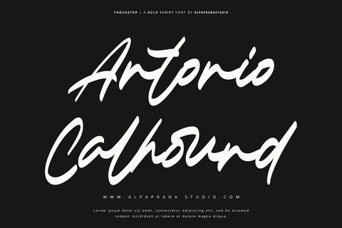 Tadcaster - Bold Script Font Font Alpaprana Studio 
