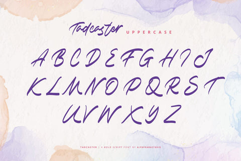 Tadcaster - Bold Script Font Font Alpaprana Studio 