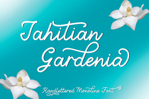 Tahitian Gardenia - Handlettered Monoline Font Font Stacy's Digital Designs 