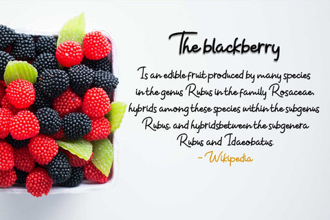 Takoyaki Font Madatype Studio 