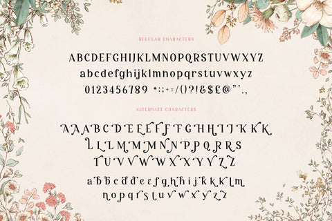 Tales of Life Font Duo (Serif Fonts, Swirly Fonts, Craft Fonts, Cute Fonts) Font Jupiter Studio Fonts 