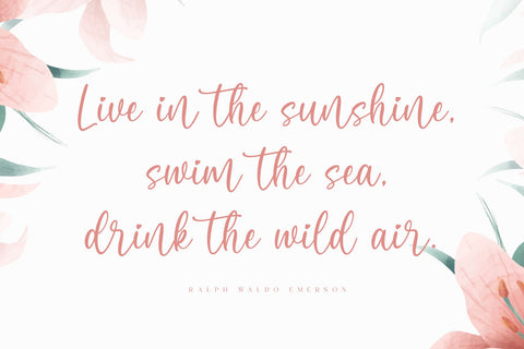 Tamarin – Lovely Handwritten Font Font Typobia 