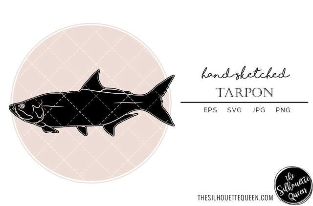 Tarpon Hand sketched, hand drawn vector clipart SVG Loveleen Kaur 