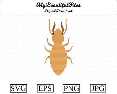 termite - insect SVG MyBeautifulFiles 
