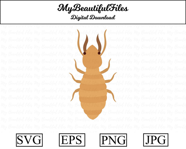 termite - insect SVG MyBeautifulFiles 