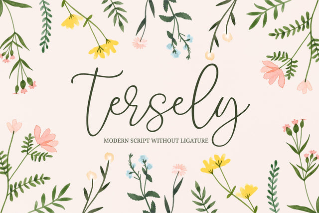 Tersely - a Modern Script Font nhfonts 