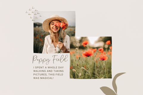 Tersely - a Modern Script Font nhfonts 